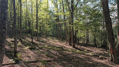 Just south of the Pepacton Reservoir on the scenic south side of - photo 36