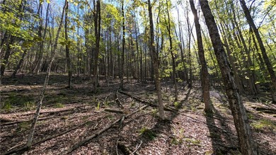 Just south of the Pepacton Reservoir on the scenic south side of - photo 37