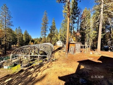 Two adjacent 1.5+ acre lots each with garden sites and solid - photo 37