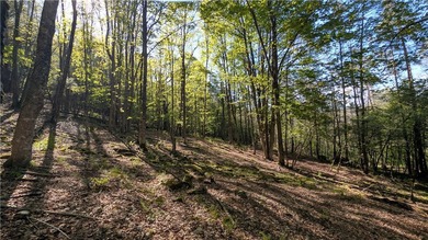 Just south of the Pepacton Reservoir on the scenic south side of - photo 38