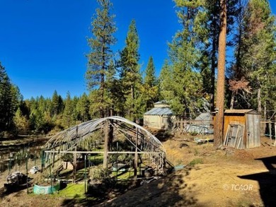Two adjacent 1.5+ acre lots each with garden sites and solid - photo 38