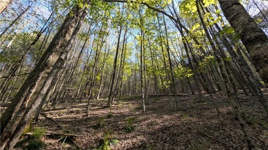 Just south of the Pepacton Reservoir on the scenic south side of - photo 39