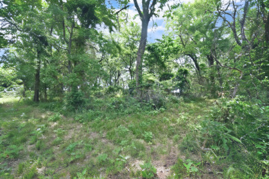 PRIME Lake Fork Waterfront Lot has .815 deeded acre + Leaseback - photo 10