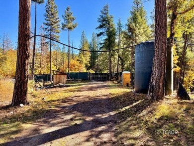 Two adjacent 1.5+ acre lots each with garden sites and solid - photo 45