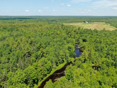 Lake Acreage For Sale in Bradford, Maine