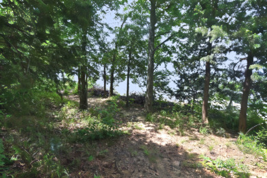 PRIME Lake Fork Waterfront Lot has .815 deeded acre + Leaseback - photo 9
