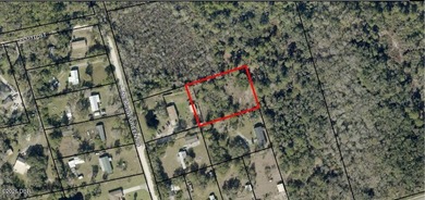 Great investor potential! This 1 Acre lot of land already has - photo 1