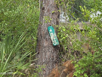 Great investor potential! This 1 Acre lot of land already has - photo 3