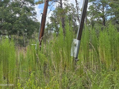 Great investor potential! This 1 Acre lot of land already has - photo 4