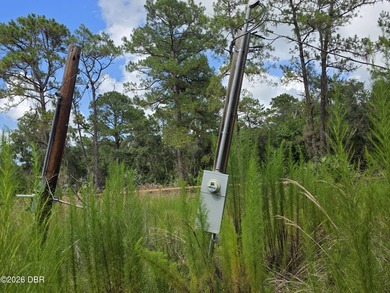 Great investor potential! This 1 Acre lot of land already has - photo 6