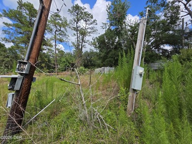 Great investor potential! This 1 Acre lot of land already has - photo 8