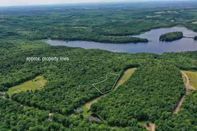 Lake Acreage For Sale in Montville, Maine