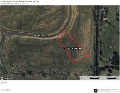 Lake Lot For Sale in Honey Grove, Texas