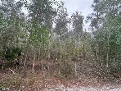 Great 0.36 acre private lot now available! Ask for detail about - photo 4