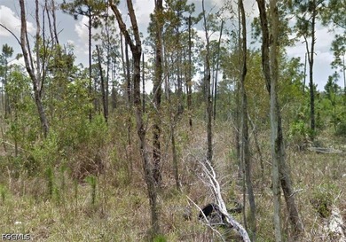 Great 0.36 acre private lot now available! Ask for detail about - photo 5