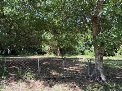 Affordable 75' x 100' lot located near downtown Apalachicola and - photo 3