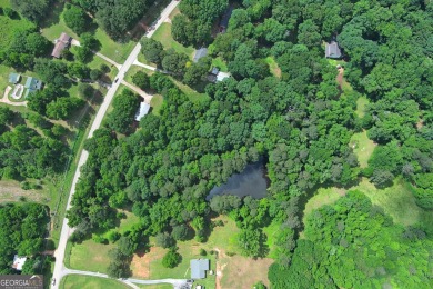 (private lake, pond, creek) Acreage For Sale in Stockbridge Georgia