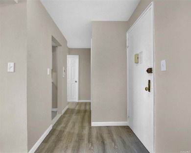 Beautiful co-op style apartment full renovated with new kitchen - photo 11