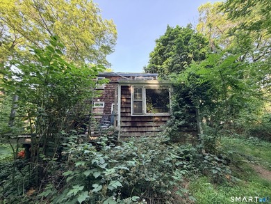**HUGE INVESTOR OPPORTUNITY** Welcome to 34 Deepwood Lane - photo 14