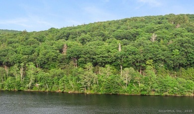 This exquisite Frank Lloyd Wright Usonian-inspired lakefront - photo 16