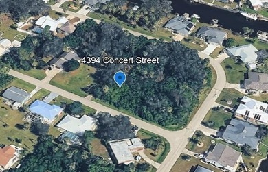 Build your FLORIDA DREAM HOME on this beautiful vacant lot - photo 1