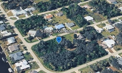 Build your FLORIDA DREAM HOME on this beautiful vacant lot - photo 4