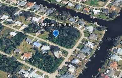 Build your FLORIDA DREAM HOME on this beautiful vacant lot - photo 5