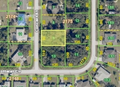 Build your FLORIDA DREAM HOME on this beautiful vacant lot - photo 7
