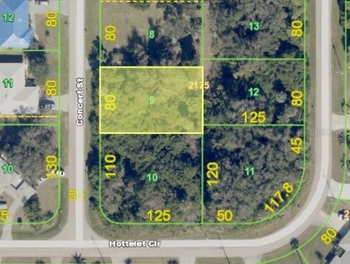 Build your FLORIDA DREAM HOME on this beautiful vacant lot - photo 8