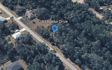 CANAL-FRONT LOT READY FOR YOUR FLORIDA DREAM HOME! NO FLOOD ZONE - photo 3