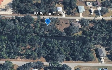 CANAL-FRONT LOT READY FOR YOUR FLORIDA DREAM HOME! NO FLOOD ZONE - photo 4