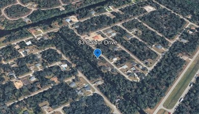 CANAL-FRONT LOT READY FOR YOUR FLORIDA DREAM HOME! NO FLOOD ZONE - photo 5