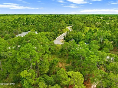 If you have been waiting for a great lot to come available in - photo 11