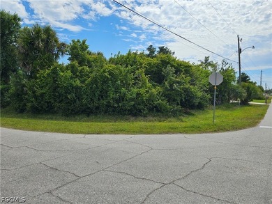 Come build your slice of Paradise on ths corner lot - photo 1