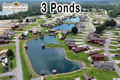 Welcome to the Premier RV Resort on Smith Lake! Experience - photo 2