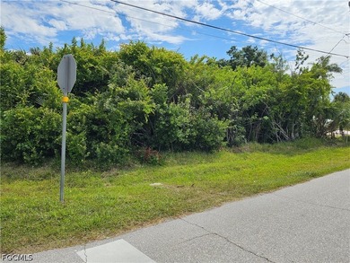 Come build your slice of Paradise on ths corner lot - photo 2