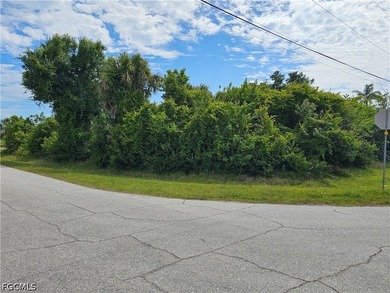 Come build your slice of Paradise on ths corner lot - photo 3