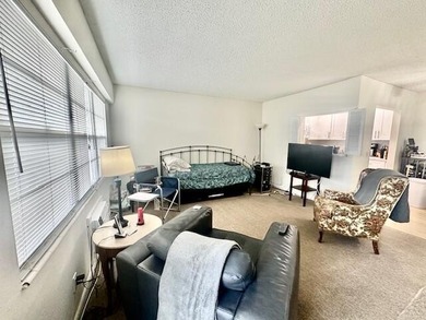 Stunning 3rd-floor 1/1.5 penthouse with panoramic lake views - photo 4