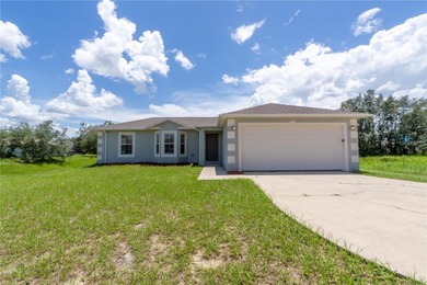 Lake Marion - Polk County Home For Sale in Kissimmee Florida