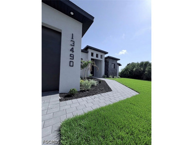 ***Brand-new modern construction home with a sleek minimalist - photo 3