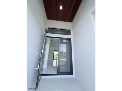 ***Brand-new modern construction home with a sleek minimalist - photo 4