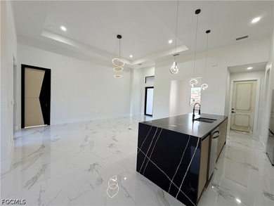 ***Brand-new modern construction home with a sleek minimalist - photo 10