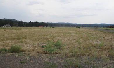 Nice level 5 acre lot with access to the Famous Williamson River - photo 3