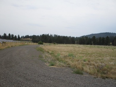 Nice level 5 acre lot with access to the Famous Williamson River - photo 4