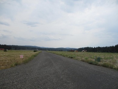 Nice level 5 acre lot with access to the Famous Williamson River - photo 5