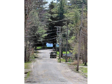 "In the Avenues" E. Caroga Lake deeded access - photo 10