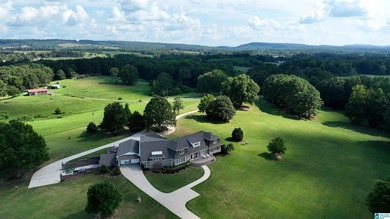 (private lake, pond, creek) Home For Sale in Oneonta Alabama