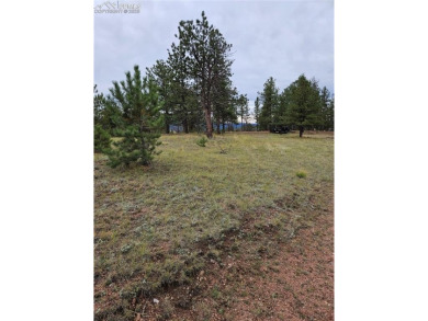 (private lake, pond, creek) Acreage For Sale in Florissant Colorado