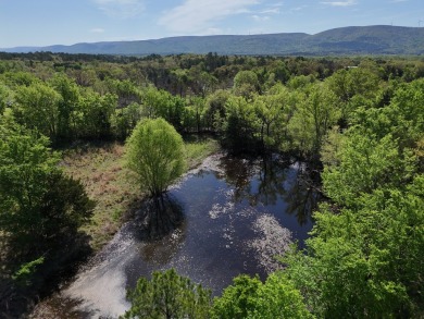 (private lake, pond, creek) Acreage For Sale in Tuskahoma Oklahoma