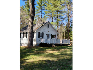 "In the Avenues" E. Caroga Lake deeded access - photo 9